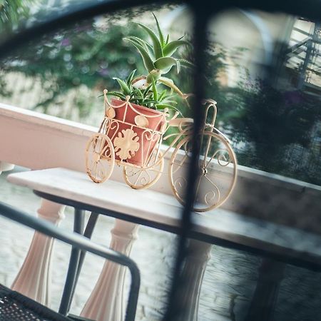 Zante Nest Studios & Apartments アリカナス エクステリア 写真