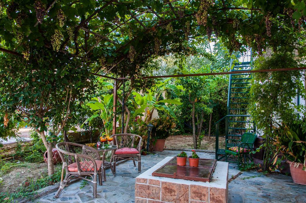Zante Nest Studios & Apartments アリカナス エクステリア 写真