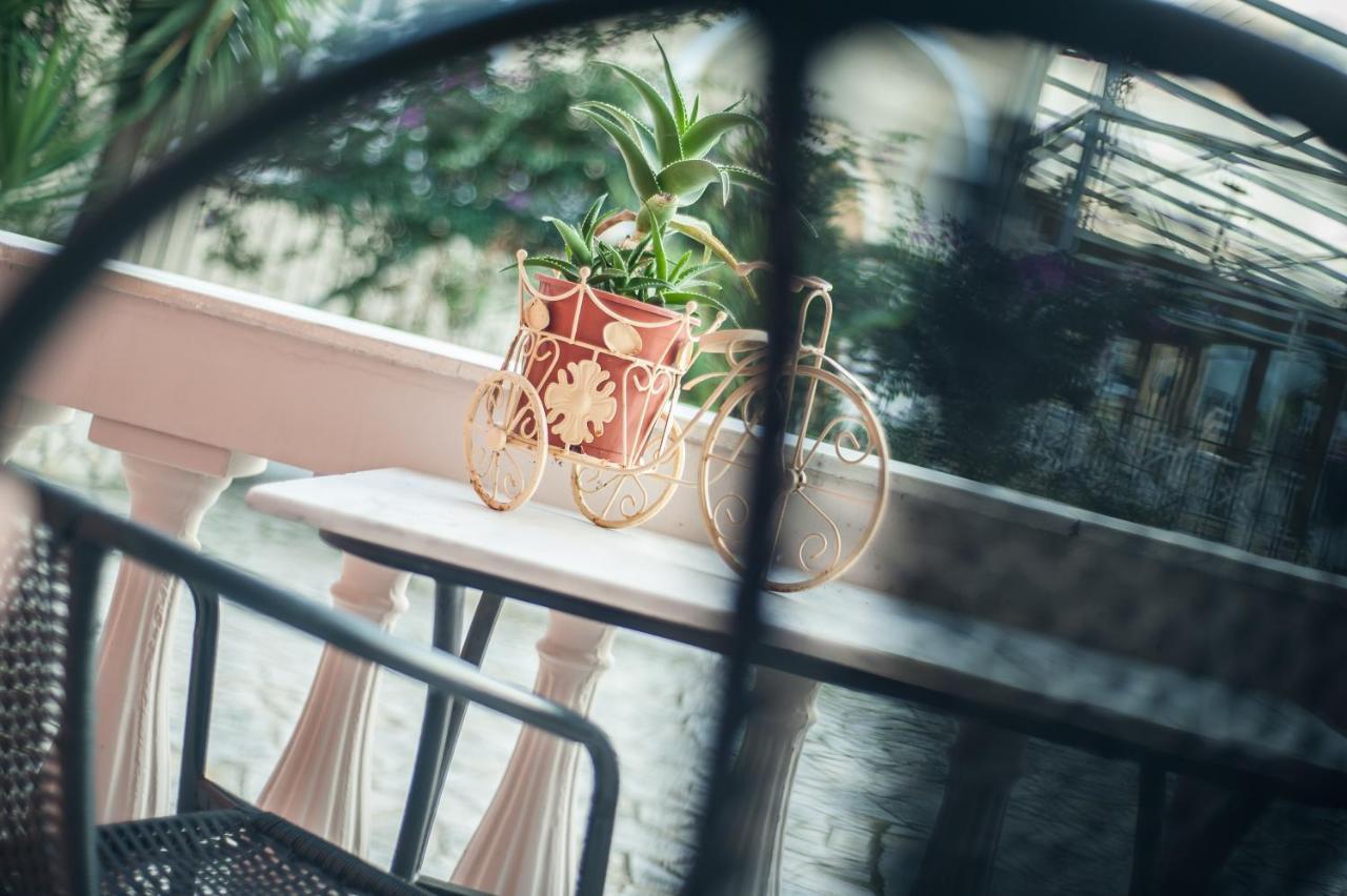Zante Nest Studios & Apartments アリカナス エクステリア 写真